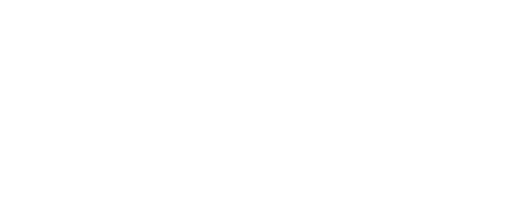 BVZ