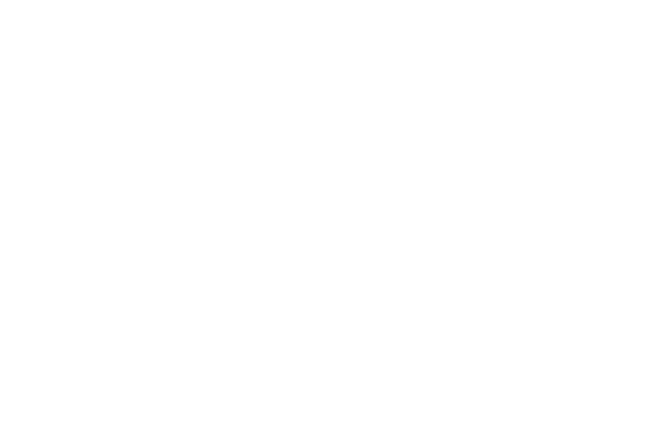 Logo-Final-Reis-Souza-PNG-e1766348653236.webp